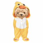 Cachorrinho fofinho vestido com um macacão amarelo de pato, com capuz e detalhes em branco, em pé e sorrindo. Ideal para ilustrações divertidas e temas de moda pet.