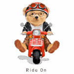 Urso estiloso em uma motocicleta vermelha, usando óculos e um capacete, vestido com jaqueta de couro. Ilustração divertida e colorida que transmite aventura e liberdade.