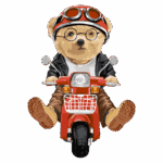Urso estilizado pilotando uma scooter vermelha, usando jaqueta de couro, óculos e capacete, transmitindo uma vibe divertida e aventureira. Ideal para ilustrações infantis ou temas de motocicletas.
