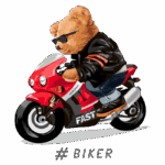 Urso estilizado montando uma motocicleta vermelha, usando óculos escuros e jaqueta de couro, retratando uma vibe de motociclista. Ideal para fãs de cultura biker e ilustrações divertidas.