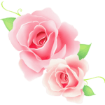 Rosas pink com folhas verdes, representando beleza e delicadeza em um design floral.