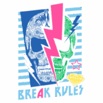 Imagem grafica colorida com duas caveiras e elementos como raios, uma estrela e um diamante, acompanhada do texto "BREAK RULES". Design moderno e ousado, ideal para expressar uma atitude rebelde.