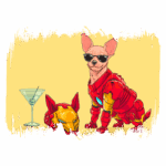 Cachorro da raça Chihuahua vestido como super-herói, usando óculos de sol e ao lado de um coquetel, com um capacete de armadura inspirado em um famoso herói de quadrinhos.