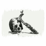 Caveira com um machado cravado, envolvido por musgo e uma borboleta pousada, simbolizando a dualidade entre vida e morte.