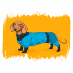 Cachorro da raça Dachshund usando um traje azul estilizado, posando sobre um fundo amarelo vibrante. A imagem destaca a expressão curiosa e amigável do animal, com ênfase nos detalhes do traje.