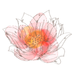 Ilustração artística de uma flor de lótus em tons de rosa e laranja, simbolizando beleza e renovação. A imagem destaca detalhes das pétalas e estames, ideal para temas de natureza e espiritualidade.