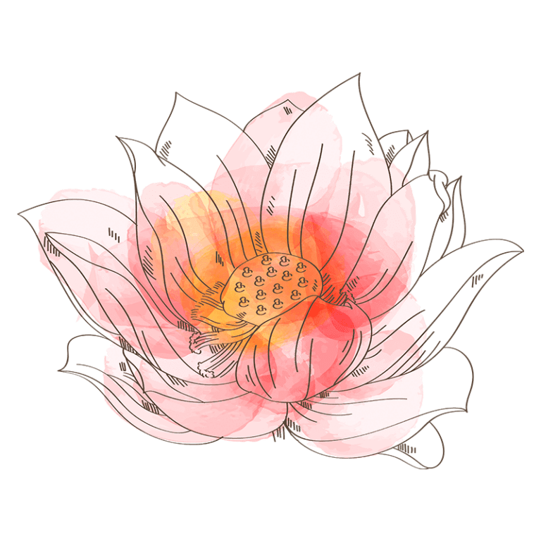 Ilustração artística de uma flor de lótus em tons de rosa e laranja, simbolizando beleza e renovação. A imagem destaca detalhes das pétalas e estames, ideal para temas de natureza e espiritualidade.