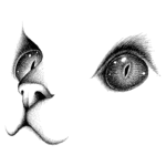 Ilustração detalhada de um rosto de gato, destacando os olhos intensos e o nariz. As características expressivas e o traço artístico evidenciam a beleza felina.