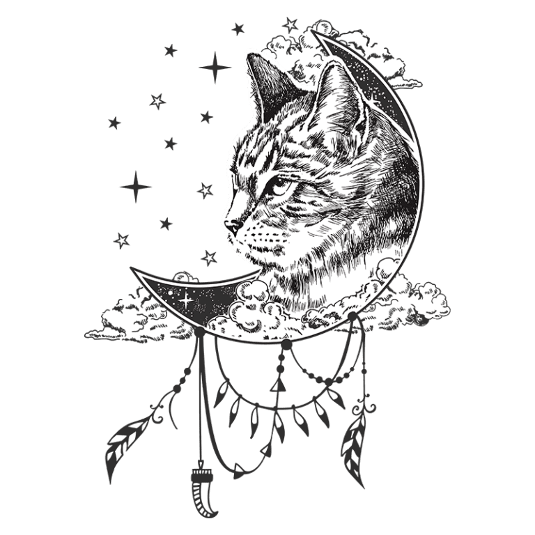 Ilustração de um gato estilizado dentro de uma lua crescente, rodeado por nuvens e estrelas, com elementos decorativos como penas e um pendente. Ideal para amantes de gatos e arte mística.