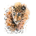 Ilustração detalhada de um leopardo com pelagem manchada em tons de laranja e preto, destacando seus olhos verdes. A arte combina traços realistas e elementos abstratos, criando um efeito visual impactante.