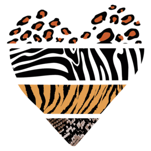 Coração estilizado com padrões de pelagem animal, incluindo manchas de leopardo, listras de zebra, listras de tigre e escamas de cobra. Ideal para temas de moda e natureza.