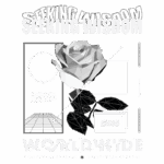 Imagem de uma camiseta de streetwear com design gráfico moderno, apresentando a frase "Seeking Wisdom" e uma rosa em estilo poligonal. O fundo inclui elementos geométricos e a palavra "WORLDWIDE", destacando a edição limitada da coleção. Ideal para amantes de moda urbana e arte contemporânea.