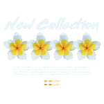 Imagem com flores em estilo geométrico e texto "New Collection". A imagem transmite uma mensagem positiva sobre novos começos e oportunidades diárias, promovendo uma atitude otimista. Logotipo da marca "Worldwide Premium Quality" na parte inferior.