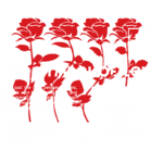 Imagem com rosas vermelhas e texto em destaque sobre o simbolismo das rosas como representação do amor, vida e amizade. Inclui elementos de design de streetwear e um aviso de "faça você mesmo".