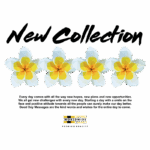 Imagem promocional da nova coleção, apresentando flores coloridas em estilo geométrico. O texto destaca a importância de começar o dia com esperança e uma atitude positiva, incentivando boas mensagens para um dia melhor. Logotipo da marca "Worldwide Premium Quality" na parte inferior.