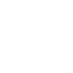 Design gráfico de camiseta de streetwear com a palavra "FREEDOM" em destaque, acompanhada de uma estrela e elementos gráficos, destacando a edição limitada da coleção.