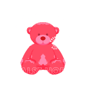 Imagem de um urso de pelúcia rosa com a inscrição "Bear Brand" em estilo gráfico, acompanhada das palavras "False Hope" e "Premium Quality", representando uma marca de streetwear.