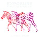Imagem artística com zebras estilizadas em cores vibrantes, acompanhadas da palavra "EXPOSURE" em destaque. O design apresenta um efeito visual dinâmico, refletindo criatividade e originalidade. Ideal para representar moda ou arte contemporânea.