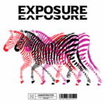 Imagem estilizada de zebras em movimento, com padrões em preto, rosa e vermelho, acompanhada do texto "EXPOSURE" em destaque. Design moderno e vibrante, ideal para projetos criativos e artísticos.