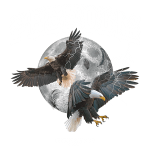 Imagem de duas águias em voo, com uma lua cheia ao fundo e elementos gráficos de relâmpagos. O texto "FREEDOM" destaca-se na parte superior, simbolizando liberdade e força. Na parte inferior, a frase "STRENGTH IN TO THE MOON" complementa a imagem. Ideal para temas relacionados à natureza e empoderamento.