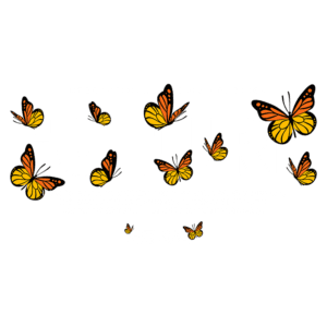 Design gráfico com a palavra "FUTURE" em destaque, adornada por borboletas coloridas, simbolizando transformação e oportunidades. O texto inclui uma citação inspiradora sobre superação e novos começos, representando a essência da moda premium internacional. Estabelecido em 2022.