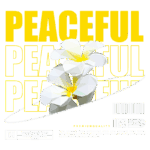 Imagem estilizada com flores brancas em um fundo verde, acompanhada de texto em amarelo que destaca a palavra "PEACEFUL". O design sugere um conceito de beleza e tranquilidade, promovendo uma mensagem de segurança e paz de espírito. Ideal para promover produtos de vestuário ou decoração que enfatizam o bem-estar.