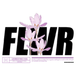 Imagem com flores lilás em estilo geométrico, acompanhadas da palavra "FLWR" em destaque. O design transmite uma mensagem positiva sobre a importância de pensamentos otimistas, com a frase "Positivo é melhor que negativo" e a marca "UNRESTRICTED". Ideal para temas de autoajuda e bem-estar.