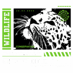 Imagem estilizada de um leopardo em preto e branco com texto sobre conservação e vida selvagem. Destaca a importância da proteção animal e a igualdade de valor entre vidas humanas e animais. Design moderno para vestuário streetwear com elementos gráficos em verde e branco.