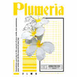 Imagem estilizada com flores de plumeria em um design moderno, acompanhada de texto em amarelo e preto, promovendo uma marca de streetwear.