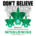 Texto alternativo: Design gráfico com flores verdes e mensagem motivacional "Não acredite em tudo que você pensa", destacando a importância de ser grato, positivo e gentil. Inclui a marca "WORLDWIDE" e a frase "QUALIDADE PREMIUM".