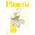 Design gráfico com flores de plumeria em estilo low poly, com texto estilizado "Plumeria" e detalhes em amarelo e branco, representando uma marca de streetwear.