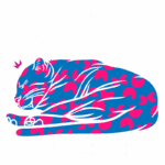 Imagem estilizada de um tigre deitado em cores vibrantes, com o texto "DONT DISTURB" e "BEWARE ANGRY TIGER" em destaque. Ideal para transmitir uma mensagem de alerta e criatividade.