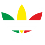 Logotipo da Adidas com design clássico, apresentando uma folha estilizada em verde, amarelo e vermelho, e três listras brancas na parte inferior.