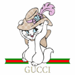 Gato estiloso com chapéu de marca Gucci, usando um fundo com as cores verde e vermelho da logo da marca.