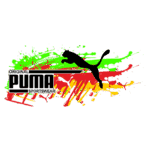 Logo da Puma com fundo colorido, destacando a silhueta de um puma e o texto "Original Puma Sportswear", ideal para identificar roupas esportivas da marca.