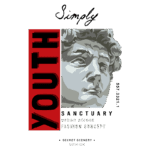 Design gráfico moderno com a palavra "YOUTH" destacada em vermelho, acompanhada de uma ilustração estilizada da estátua de Davi. O texto "SANCTUARY urban street FASHION CONCEPT" complementa o design, que reflete uma estética jovem e urbana.