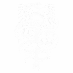 Design de camiseta com imagem de uma cobra envolvendo uma guitarra, acompanhada do texto "Lynyrd Skynyrd". Fundo com raios de luz, simbolizando a influência do rock no design.